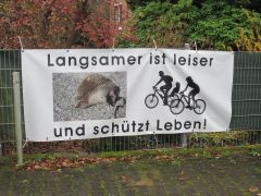 Streitpunkt KFZ-Geschwindigkeit im Kirchweg
