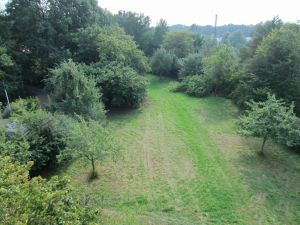 Apfelbäume unterhalb der Friedrich-Ebert-Brücke.jpg
