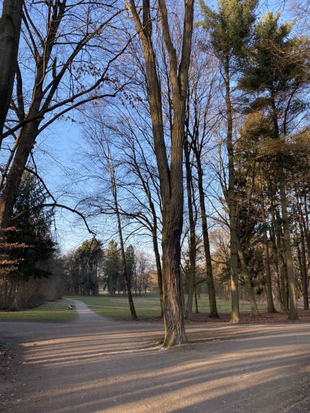 Datei:Blick Südbereich.jpg
