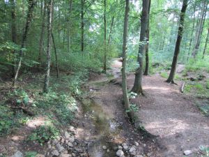 Raderbach im Lüner Holz.jpg