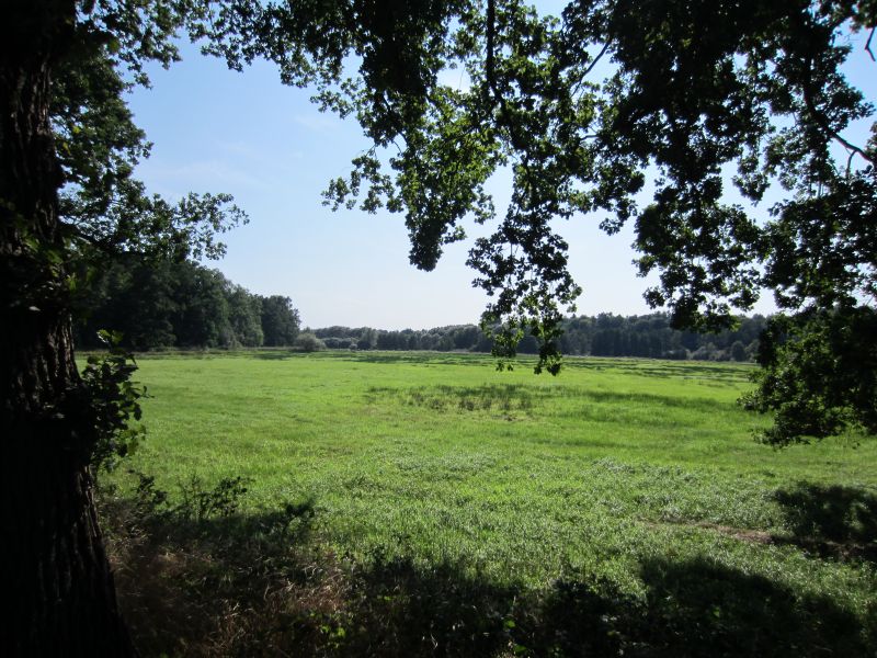 Datei:Ilmenauniederung Richtung Amselweg.jpg