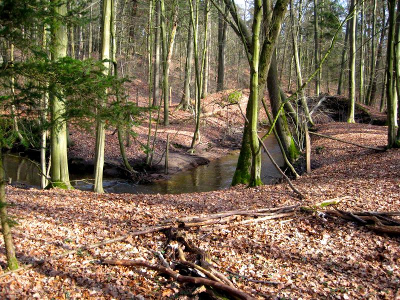 Datei:Hasenburger Bachtal.jpg