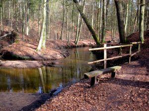 Hasenburger Bachtal 2.jpg