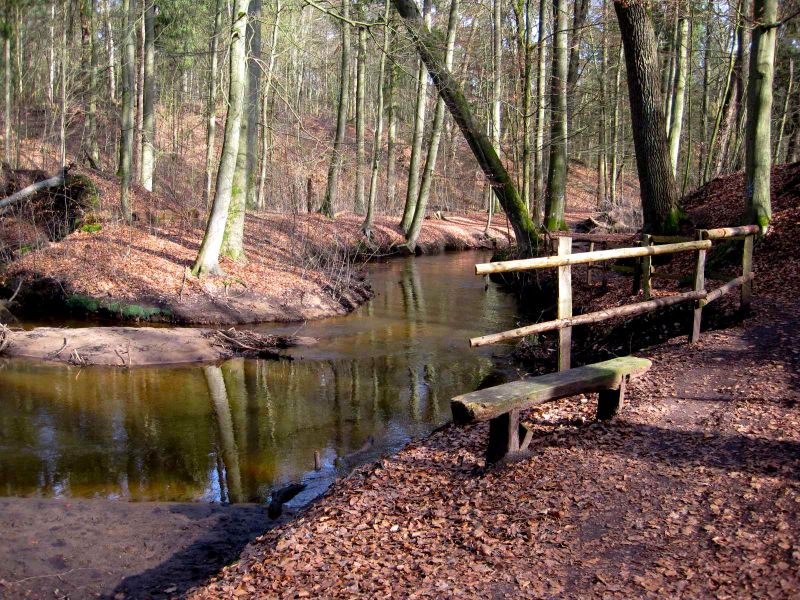 Datei:Hasenburger Bachtal 2.jpg