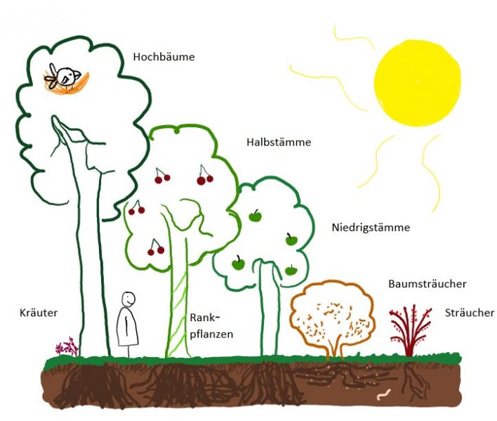 Datei:Ein Waldgarten.jpg