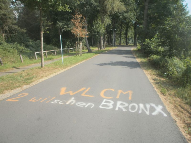 Datei:Graffito auf dem Amselweg.jpg