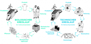Cradle to Cradle Kreisläufe.png