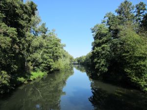 Ilmenau beim Amselweg.jpg