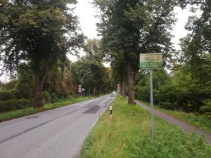 Salzstraße.jpg