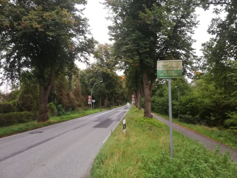 Datei:Salzstraße.jpg