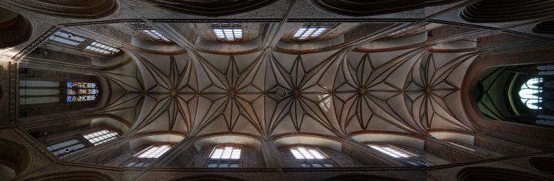 Datei:Decke-comp med01.jpg