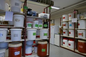 Lebensmittelkooperative Kornkonnection Lüneburg Regale .jpg