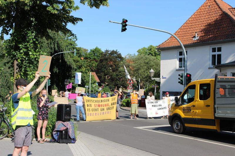 Datei:Swarming in Lüneburg.jpg