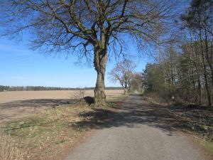 Hagen potentielle Autobahn.jpg
