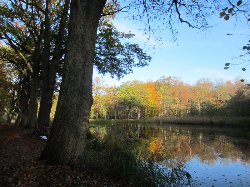 Datei:Mühlenteiche Scharnebeck.jpg