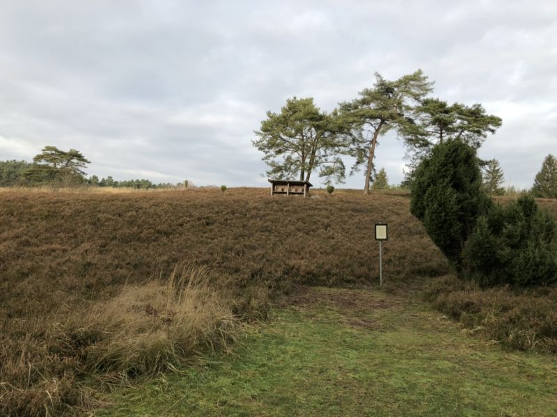 Datei:Kronsberger Heide im Winter.jpg