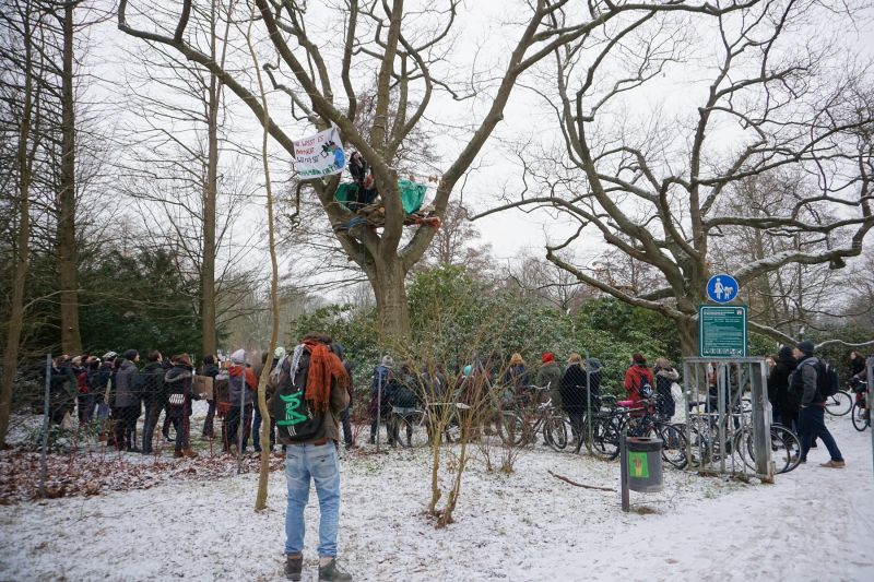 Datei:Baumhaus Corvus.jpg