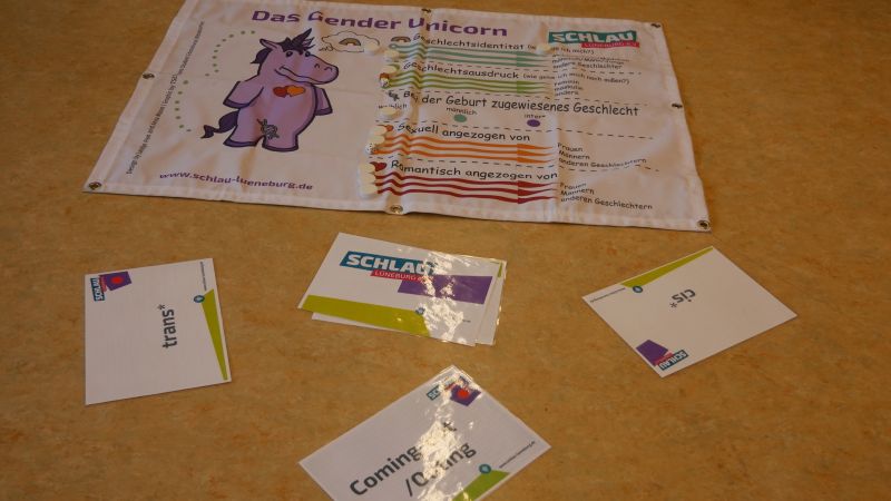 Datei:Gender Unicorn und Begriffekarten.jpg