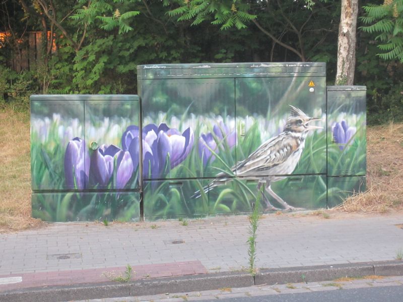 Datei:Graffiti Feldlerche mit Krokussen.jpg