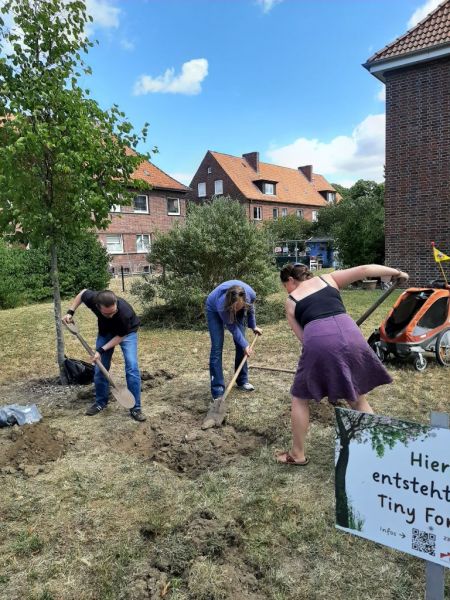 Datei:Tiny Forest - Bodenbereitung.jpg