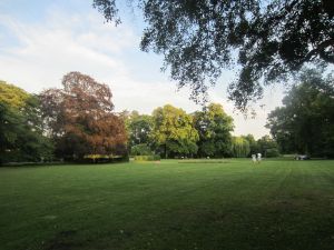 Kurpark-Rasen im Juni 2026.jpg