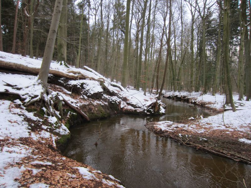 Datei:Lüneburger Schweiz mit Hasenburger Mühlenbach im Winter.jpg